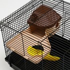 Клетка для грызунов "Пижон", с наполнением 47 х 30 х 27 см, чёрная - Фото 4