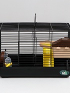 Клетка для грызунов «Пижон», 47×30×27 см с наполнением, чёрная - Фото 4