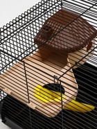 Клетка для грызунов «Пижон», 47×30×27 см с наполнением, чёрная - Фото 6