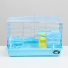 Клетка для грызунов «Пижон», 47×30×27 см, с наполнением, пластик, металл, голубая - Фото 2