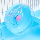 Клетка для грызунов «Пижон», 47×30×27 см, с наполнением, пластик, металл, голубая - Фото 7