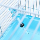 Клетка для грызунов «Пижон», 47×30×27 см, с наполнением, пластик, металл, голубая - Фото 8