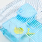 Клетка для грызунов «Пижон», 47×30×27 см, с наполнением, пластик, металл, голубая - Фото 9