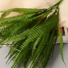 Букет «Папоротник лесной», 30 см, МИКС 7995326