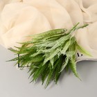 Букет «Папоротник лесной», 30 см, МИКС 7995326