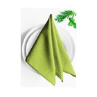 Комплект салфеток «Ибица», размер 43х43 см, цвет зеленый - фото 301494042