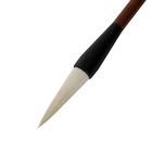 Кисть коза №8, круглая, для каллиграфии, деревянная ручка, в блистере - фото 24566270