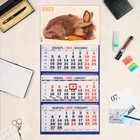 Календарь квартальный, трио "Символ Года - 4" 2023 год, 31х69см - Фото 1