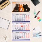 Календарь квартальный, трио "Символ Года - 19" 2023 год, 31х69см - Фото 1