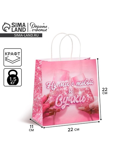 Пакет подарочный, упаковка, «Чиксы», 22×22×11 см