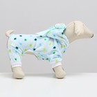 Комбинезон "Конфетка", размер XL, голубой (ДС 27, ОШ 32, ОГ 40 см) - Фото 3