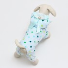 Комбинезон "Конфетка", размер XL, голубой (ДС 27, ОШ 32, ОГ 40 см) - Фото 4