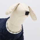 Толстовка для животных  "Мишка", размер XL, синяя (ДС 35, ОШ 30, ОГ 44 см) - фото 27186114