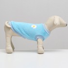 Толстовка для животных  "Ромашка", велсофт, размер M, голубая (ДС 28, ОШ 24, ОГ 38 см) - фото 25272205