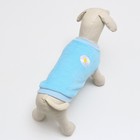Толстовка для животных  "Ромашка", велсофт, размер M, голубая (ДС 28, ОШ 24, ОГ 38 см) - фото 25272206