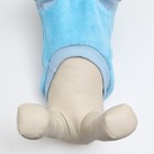 Толстовка для животных  "Ромашка", велсофт, размер M, голубая (ДС 28, ОШ 24, ОГ 38 см) - фото 25272207