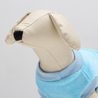 Толстовка для животных  "Ромашка", велсофт, размер M, голубая (ДС 28, ОШ 24, ОГ 38 см) - фото 25272209