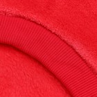 Толстовка "Ромашка", велсофт, размер S, красная (ДС 25, ОШ 22, ОГ 34 см) - Фото 9