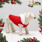 Толстовка с капюшоном «Гномик», размер S, красная (ДС 21, ОШ 28, ОШ 32 см) - Фото 1