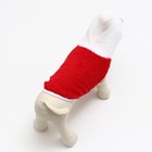 Толстовка с капюшоном "Гномик", размер XL, красная (ДС 34, ОШ 38, ОШ 48 см) - Фото 4