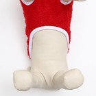 Толстовка с капюшоном "Гномик", размер 2XL, красная (ДС 40, ОШ 42, ОШ 54 см) - Фото 5