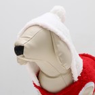 Толстовка с капюшоном "Гномик", размер 2XL, красная (ДС 40, ОШ 42, ОШ 54 см) - Фото 6