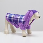Толстовка с капюшоном для собак, размер M, сиреневая клетка (ДС 25, ОШ 36, ОШ 42 см) - фото 31234374