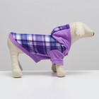 Толстовка с капюшоном для собак, размер M, сиреневая клетка (ДС 25, ОШ 36, ОШ 42 см) - фото 31234375