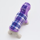 Толстовка с капюшоном для собак, размер M, сиреневая клетка (ДС 25, ОШ 36, ОШ 42 см) - фото 31234376