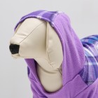 Толстовка с капюшоном для собак, размер M, сиреневая клетка (ДС 25, ОШ 36, ОШ 42 см) - фото 31234378