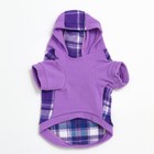 Толстовка с капюшоном для собак, размер M, сиреневая клетка (ДС 25, ОШ 36, ОШ 42 см) - фото 31234379