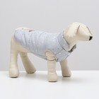 Куртка для собак "Звездный путь", размер S, серая (ДС 26, ОШ 24, ОГ 32 см) - фото 319030890