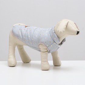 Куртка для собак "Звездный путь", размер M, серая (ДС 29, ОШ 26, ОГ 38 см)