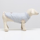 Куртка для собак "Звездный путь", размер XL,серая (ДС 40, ОШ 34, ОГ 50 см) - фото 41444370