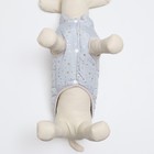 Куртка для собак "Звездный путь", размер XL,серая (ДС 40, ОШ 34, ОГ 50 см) - фото 41444372