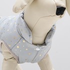 Куртка для собак "Звездный путь", размер XL,серая (ДС 40, ОШ 34, ОГ 50 см) - фото 41444373