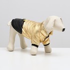 Куртка для собак "Космонавт", размер 8, чёрно-золотая (ДС 24, ОШ 22, ОГ 32 см) - фото 321359163