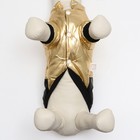 Куртка для собак "Космонавт", размер 8, чёрно-золотая (ДС 24, ОШ 22, ОГ 32 см) - Фото 4