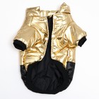 Куртка для собак "Космонавт", размер 8, чёрно-золотая (ДС 24, ОШ 22, ОГ 32 см) - Фото 6