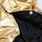Куртка для собак "Космонавт", размер 8, чёрно-золотая (ДС 24, ОШ 22, ОГ 32 см) - Фото 9