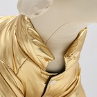 Куртка для собак "Космонавт", размер 14, чёрно-золотая (ДС 38, ОШ 32, ОГ 46 см) - фото 30537221