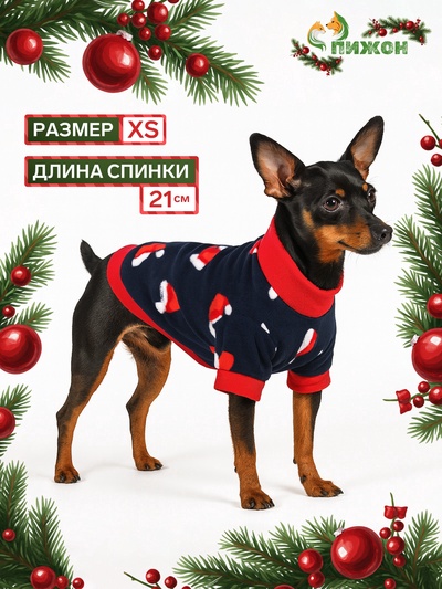 Толстовка для собак «Новогодний колпак», размер XS, синяя (ДС 21, ОШ 20, ОГ 30 см)