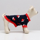 Толстовка для собак «Новогодний колпак», размер S, синяя (ДС 26, ОШ 22, ОГ 34 см) - Фото 3