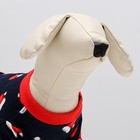 Толстовка для собак «Новогодний колпак», размер M, синяя (ДС 32, ОШ 28, ОГ 46 см) - Фото 6