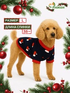 Толстовка для собак «Новогодний колпак», размер L, синяя (ДС 38, ОШ 34, ОГ 48 см) - Фото 1
