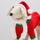 Новогодний костюм "Снегурочка" для собак, размер XS, красный (ДС 18, ОШ 22, ОГ 30 см) - Фото 5