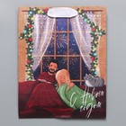 Пакет крафтовый вертикальный «Салюты», MS 18 × 23 × 10 см - фото 24288019