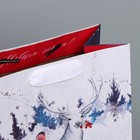 Пакет крафтовый вертикальный «Загадай желание», MS 18 × 23 × 10 см - Фото 4