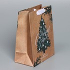 Пакет крафтовый вертикальный «Winter», MS 18 × 23 × 10 см - Фото 2
