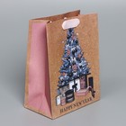 Пакет крафтовый вертикальный «Present», MS 18 × 23 × 10 см - Фото 2